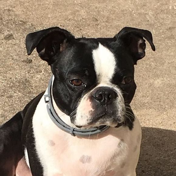 Meet your Posher, Lanora - Picture 3 of 7